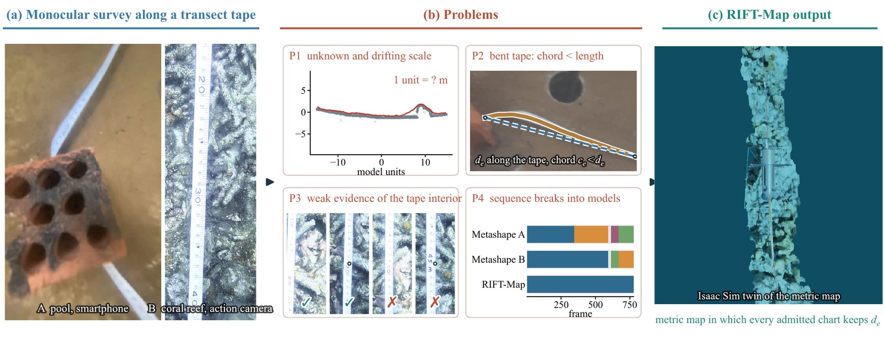 Workflow and problems of metric monocular transect mapping