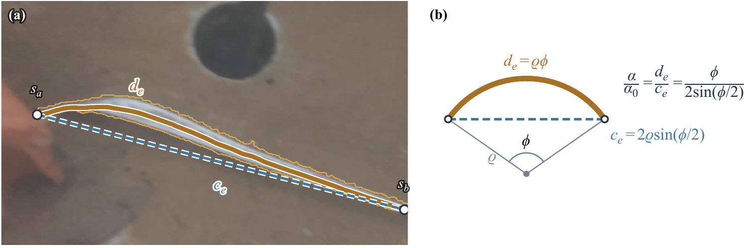 Endpoint bias of a bent tape interval