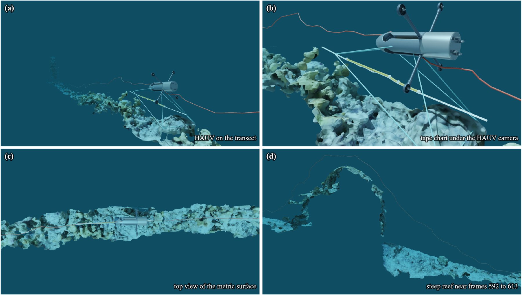 Metric digital twin of the transect in Isaac Sim